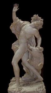 adonis
