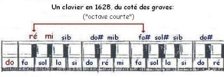 octave courte