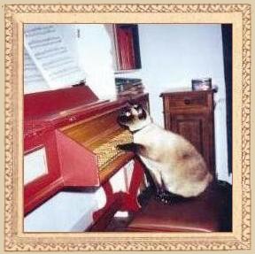 chat au clavecin